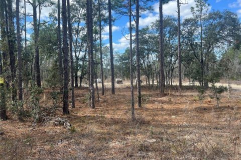Terreno en venta en Dunnellon, Florida № 2159353 - foto 11