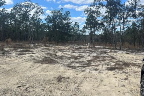 Terreno en venta en Dunnellon, Florida № 2159353 - foto 5