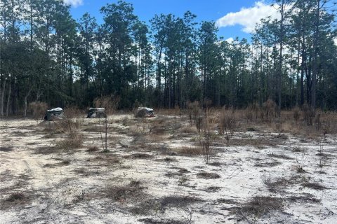 Terreno en venta en Dunnellon, Florida № 2159353 - foto 4