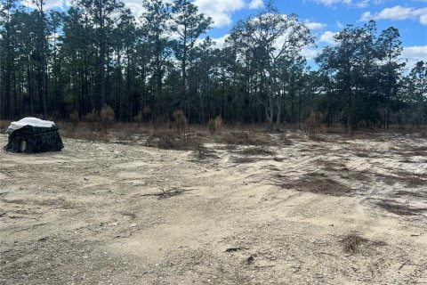 Terreno en venta en Dunnellon, Florida № 2159353 - foto 6