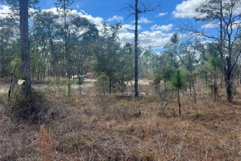 Terreno en venta en Dunnellon, Florida № 2159353 - foto 12
