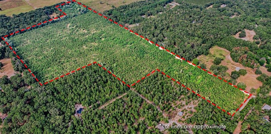 Land in Archer, Florida № 1244010