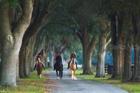 Terreno en venta en Ocala, Florida № 2299104 - foto 2