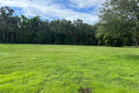 House in Terra Ceia, Florida 3 bedrooms, 107.58 sq.m. № 1806714 - photo 5