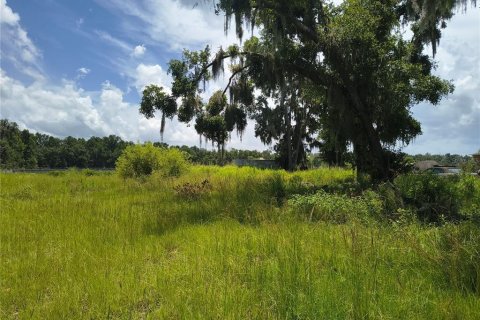 Land in Plant City, Florida № 1839060 - photo 11