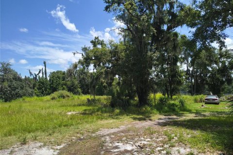 Land in Plant City, Florida № 1839060 - photo 6