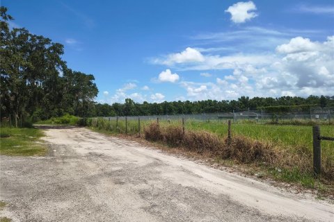 Land in Plant City, Florida № 1839060 - photo 12