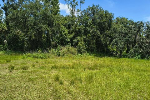 Land in Plant City, Florida № 1839060 - photo 2