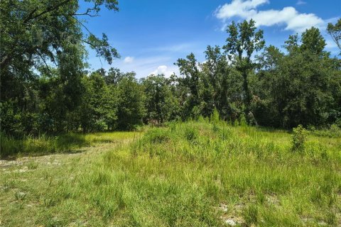 Land in Plant City, Florida № 1839060 - photo 7