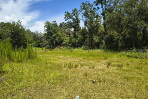 Land in Plant City, Florida № 1839060 - photo 1