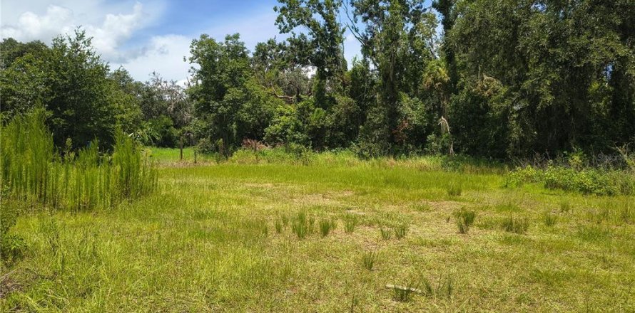 Land in Plant City, Florida № 1839060