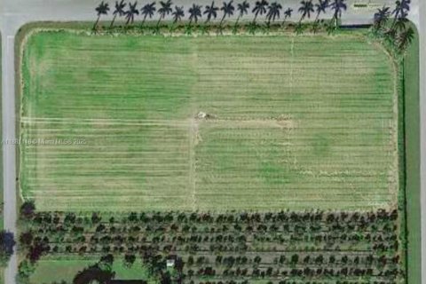 Land in Homestead, Florida № 1922413 - photo 5