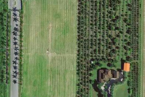 Land in Homestead, Florida № 1922413 - photo 3
