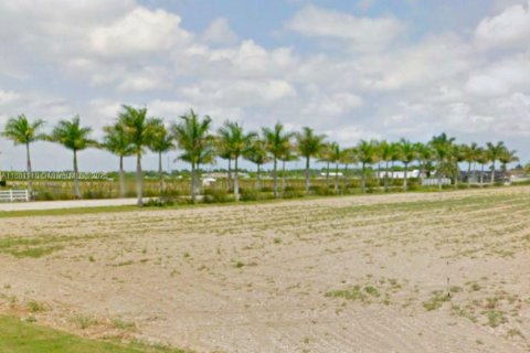 Land in Homestead, Florida № 1922413 - photo 4