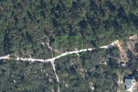 Land in Sebring, Florida № 2162061
