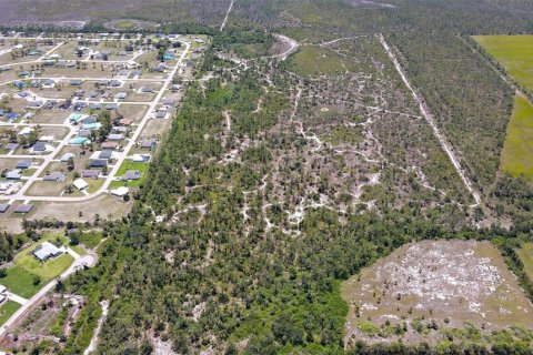 Land in Punta Gorda, Florida № 1149464 - photo 16