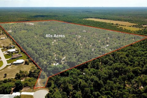 Land in Punta Gorda, Florida № 1149464 - photo 1