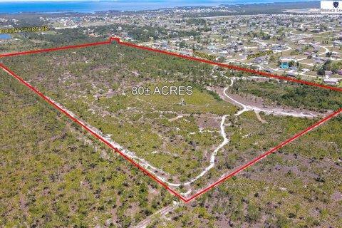 Land in Punta Gorda, Florida № 1149464 - photo 4