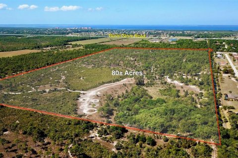 Land in Punta Gorda, Florida № 1149464 - photo 2
