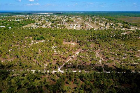 Land in Punta Gorda, Florida № 1149464 - photo 11