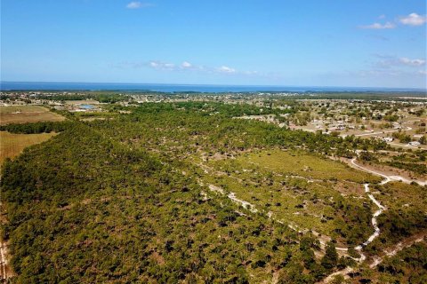 Land in Punta Gorda, Florida № 1149464 - photo 9