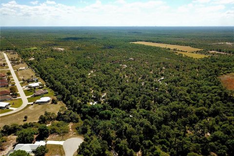 Land in Punta Gorda, Florida № 1149464 - photo 10
