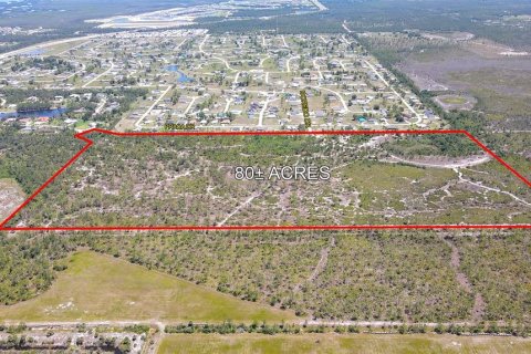 Land in Punta Gorda, Florida № 1149464 - photo 3