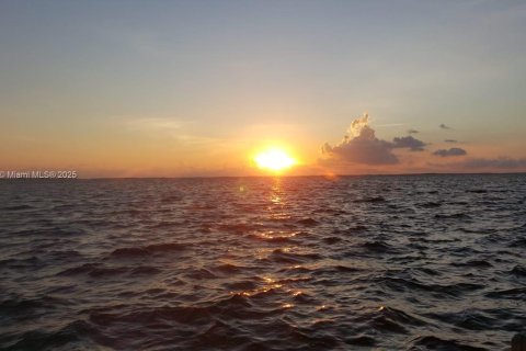 House in Key Largo, Florida 2 bedrooms № 1874966 - photo 3