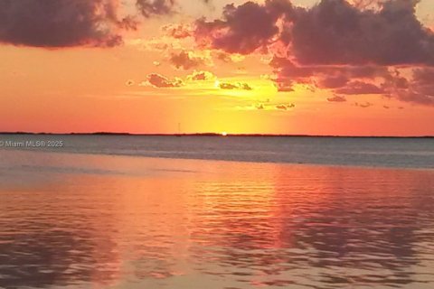 House in Key Largo, Florida 2 bedrooms № 1874966 - photo 4