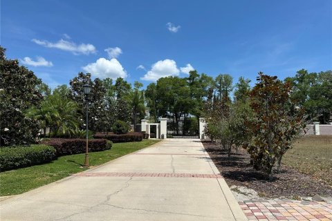 Land in Lake Mary, Florida № 1657222 - photo 8