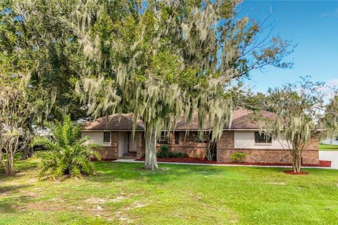 Villa ou maison à vendre à Lakeland, Floride: 3 chambres, 217.02 m2 № 2422739 - photo 4