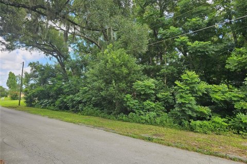 Land in Orange City, Florida № 1321933 - photo 7
