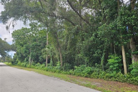 Land in Orange City, Florida № 1321933 - photo 4