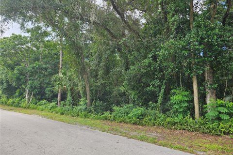 Land in Orange City, Florida № 1321933 - photo 3