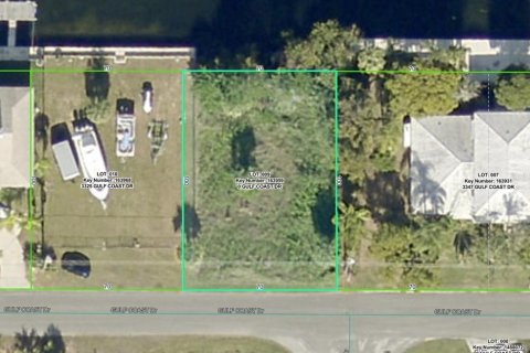 Land in Hernando Beach, Florida № 213343 - photo 4