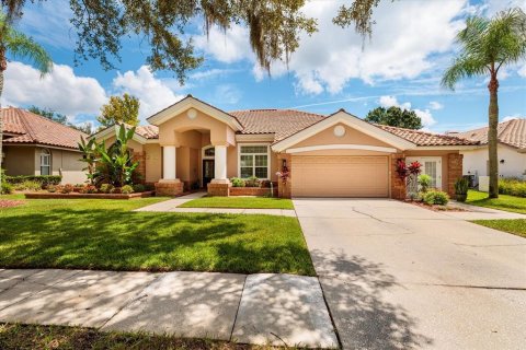 House in Oldsmar, Florida 4 bedrooms, 254.18 sq.m. № 2296741