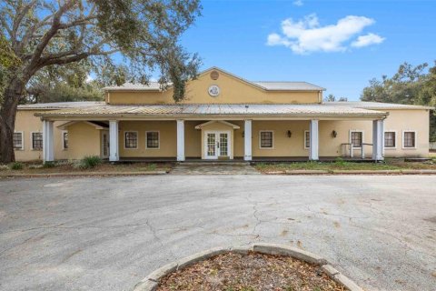 Propiedad comercial en venta en Thonotosassa, Florida, 906.54 m2 № 2149207 - foto 15