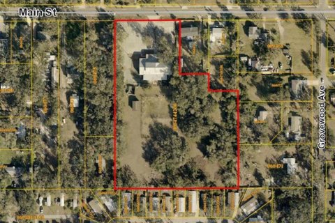 Propiedad comercial en venta en Thonotosassa, Florida, 906.54 m2 № 2149207 - foto 2