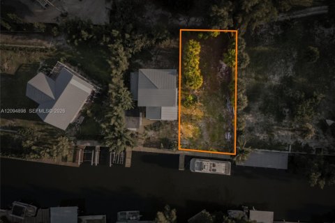 Land in Grant-Valkaria, Florida № 2392133 - photo 2