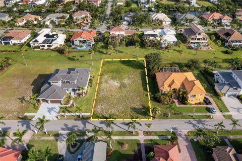 Land in Apollo Beach, Florida № 1839849 - photo 3