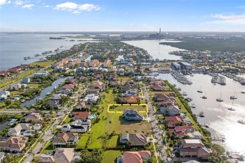 Land in Apollo Beach, Florida № 1839849 - photo 8