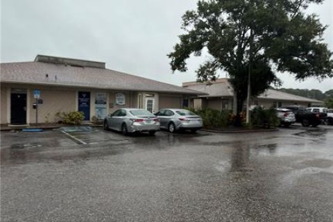 Immobilier commercial à louer à Tampa, Floride: 483.09 m2 № 2429396 - photo 3