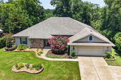 Casa en venta en Mount Dora, Florida, 4 dormitorios, 241.17 m2 № 2215543 - foto 4