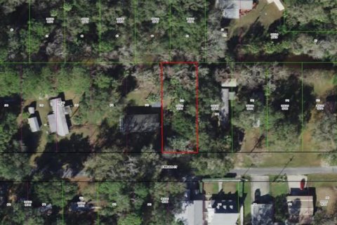 Land in Inverness, Florida № 2162604
