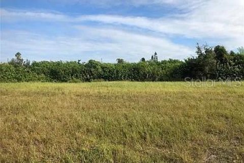 Terreno en venta en Cape Coral, Florida № 1720357 - foto 5