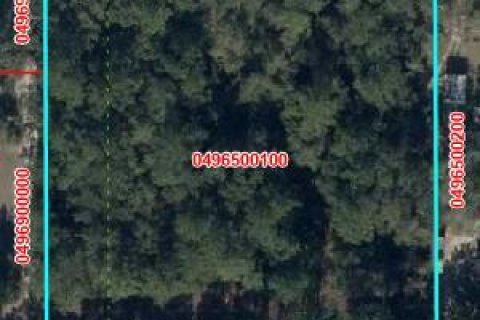 Immobilier commercial à Williston, Floride № 2248099
