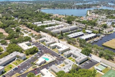 Condominio en alquiler en Tarpon Springs, Florida, 2 dormitorios, 80.92 m2 № 1754981 - foto 14