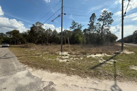 Terrain à vendre à Ocklawaha, Floride № 2236614 - photo 2