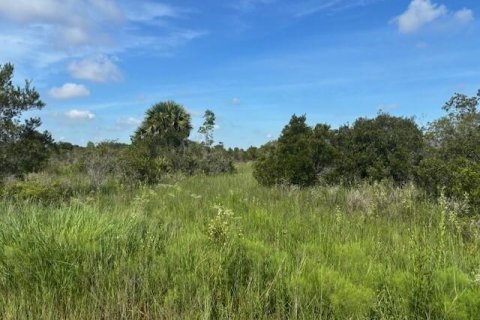 Commercial property in Okeechobee, Florida № 2390132