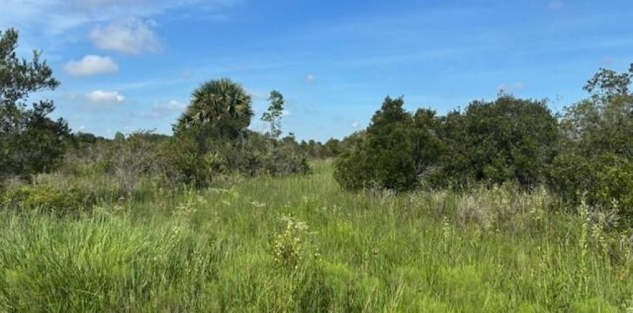 Commercial property in Okeechobee, Florida № 2390132